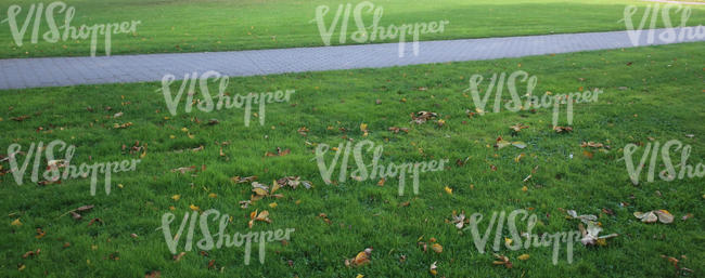 lawn with a paved walkway and fallen leaves