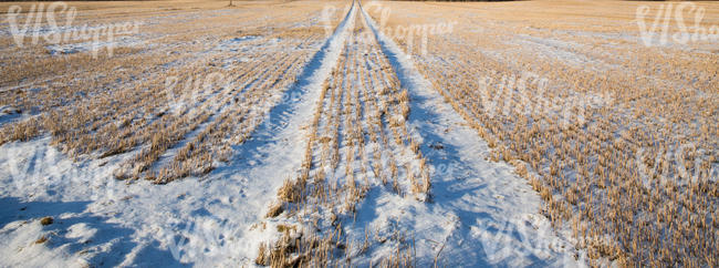 snowy field with tractor tracks