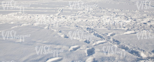 field of snow with many footprints