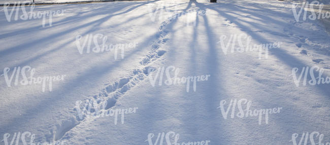 snowy park ground with shadows and footprints