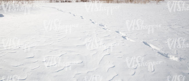 field of snow with footprints
