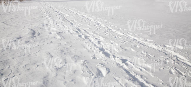 snowy ground with some footprints