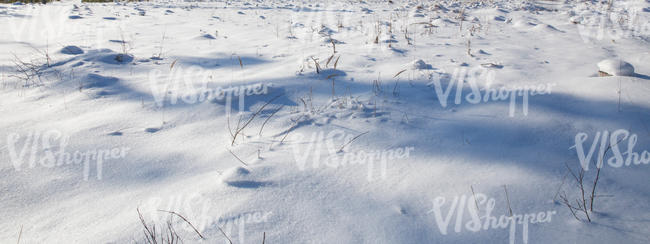 snowy ground with a tree shadow