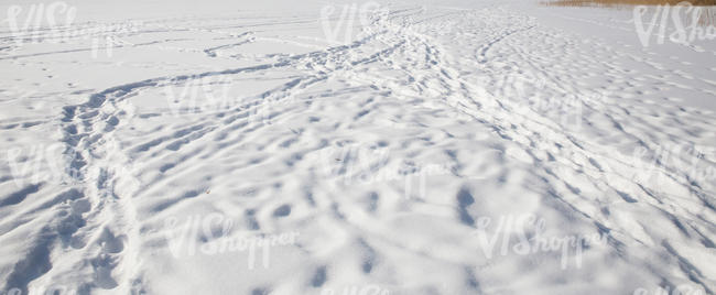 field of snow with many footprints