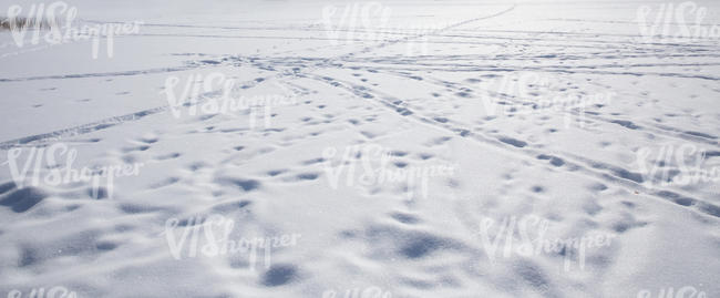 snowy field with footprints