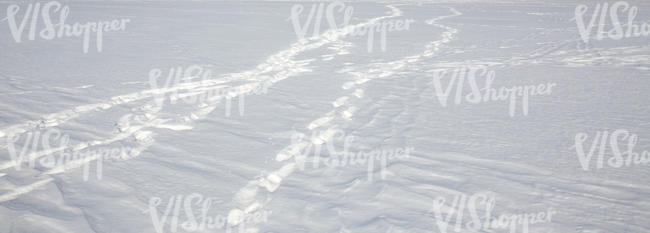snowy field with some footprints