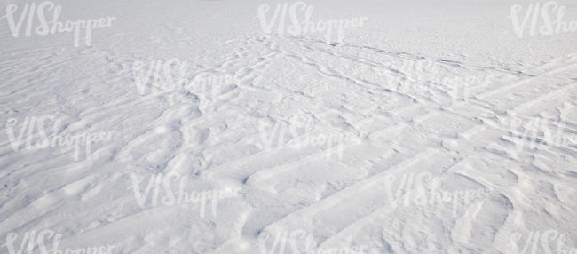field of snow