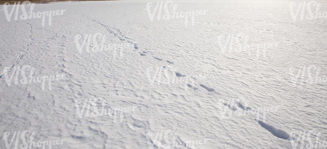 field of snow with few footprints