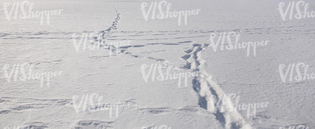 snowy field with few footprints