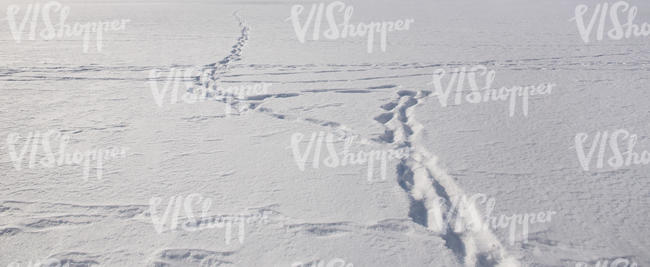 snowy field with few footprints