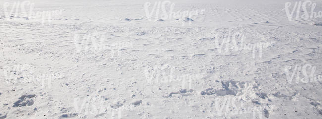 snow covered field