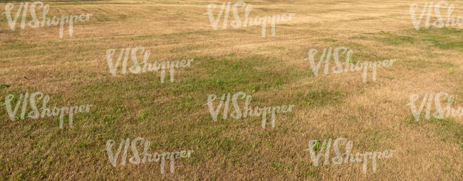 harvested hayfield