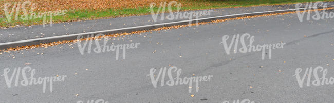 tarmac road with some fallen leaves