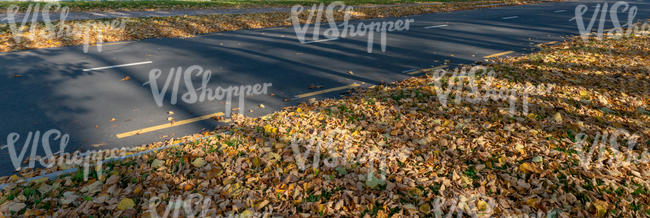 tarmac road with yellow leaves on side