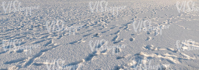 sunny snowy ground with footprints