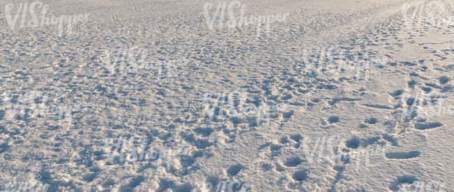 snow covered field full of tracks