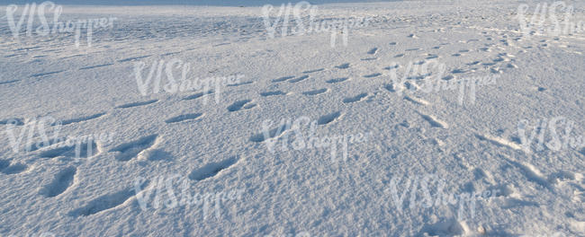 snowy field with some footprints