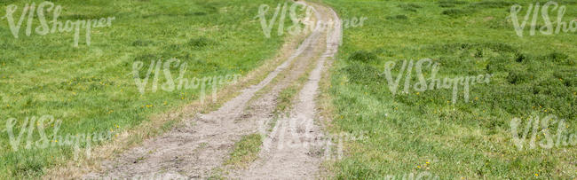 small road in the grass field