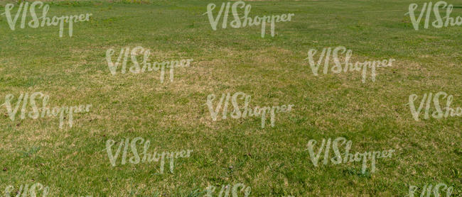 dryer patch of lawn