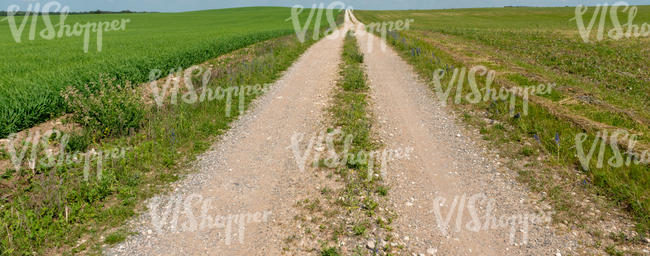 gravel road in countryside