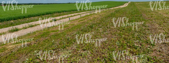 gravel road between fields