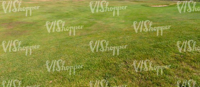 mowed lawn in summer