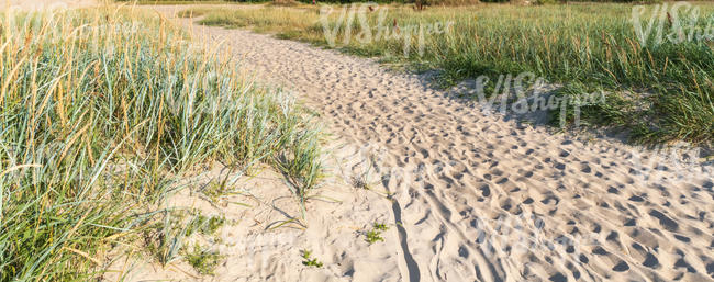 sandy footpath