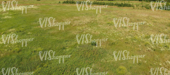 bird-eye view of a meadow