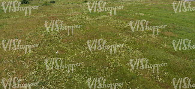 meadow seen from above