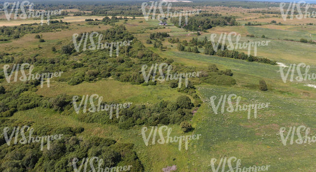 bird eye view of the grassland with trees and bushes