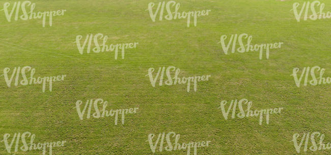 bird-eye view of mowed lawn