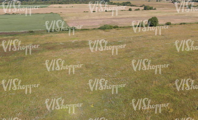 bird-eye view of fields