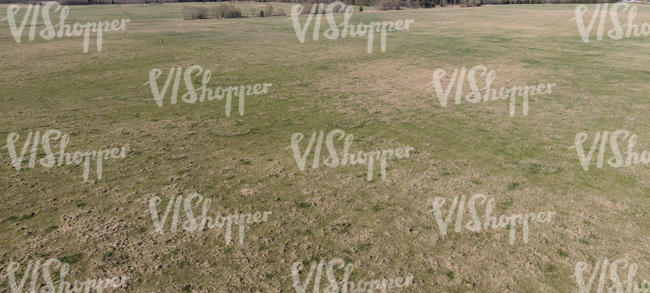 dry grassland seen from above