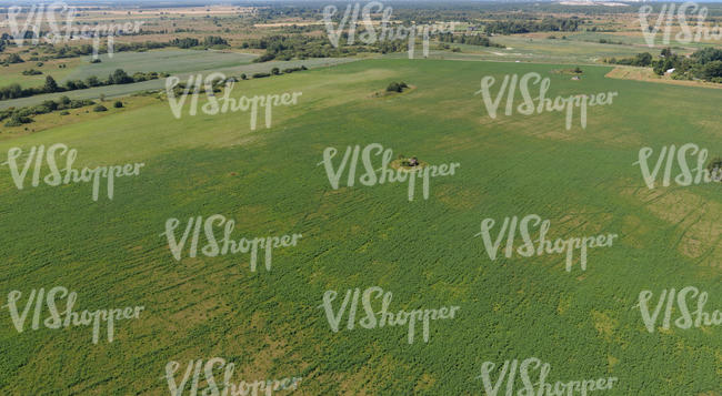 grass field seen from above