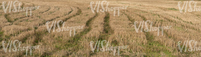 harvested hay field in autumn