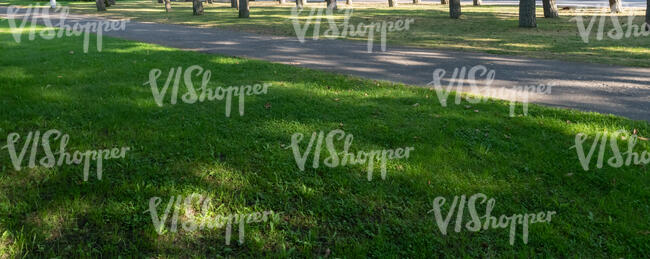 shadowy pathroad in a park