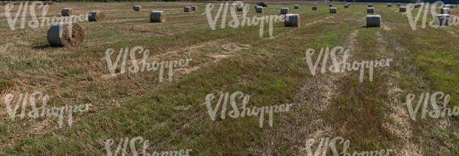 fresly cut hay field