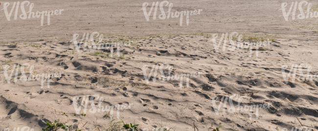 sand field in sunlight