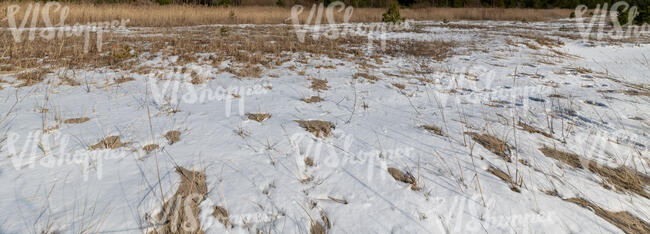 sandy seaside with snow and grass