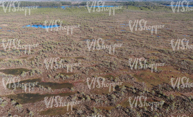 bog with some little lakes seen from above