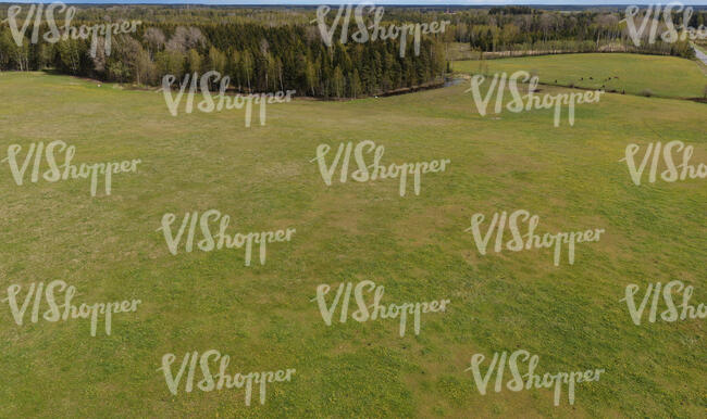 large field of low grass seen from above