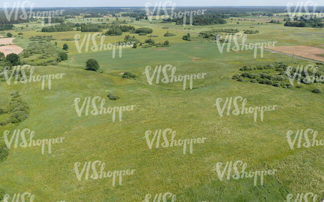 countryside in summer seen from above