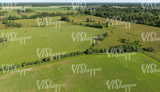 aerial voew of large fields in summer
