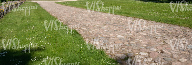 cobblestone road in sunlight