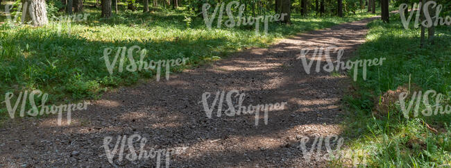 shady path running through a forest