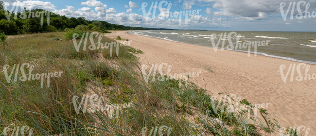 seashore with sand and grass