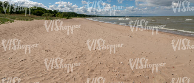 sandy seashore in summer