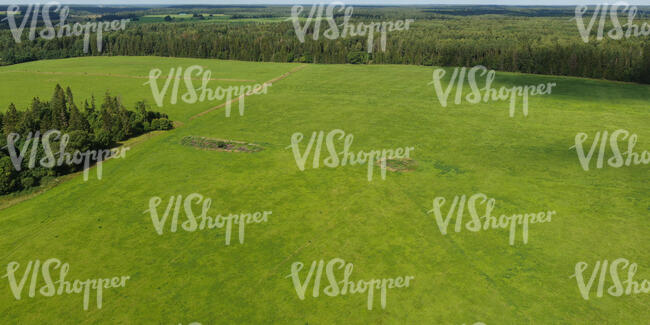 aerial view of a large grassland between forests