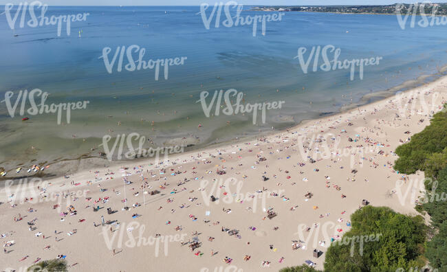 aerial view of a  sandy seaside in summer