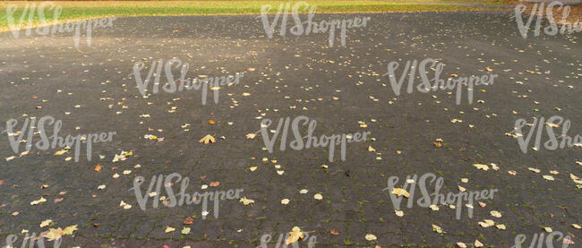 paved square covered with fallen leaves